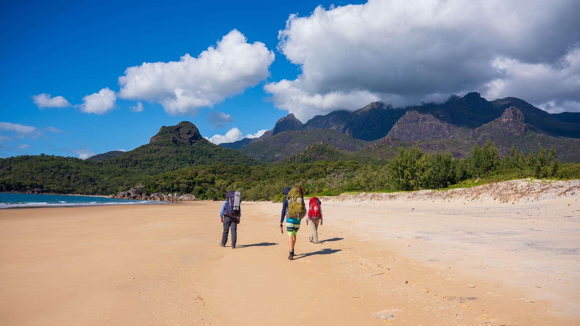 https://katrinalosurdo.com/hinchinbrook-island-2024-2/