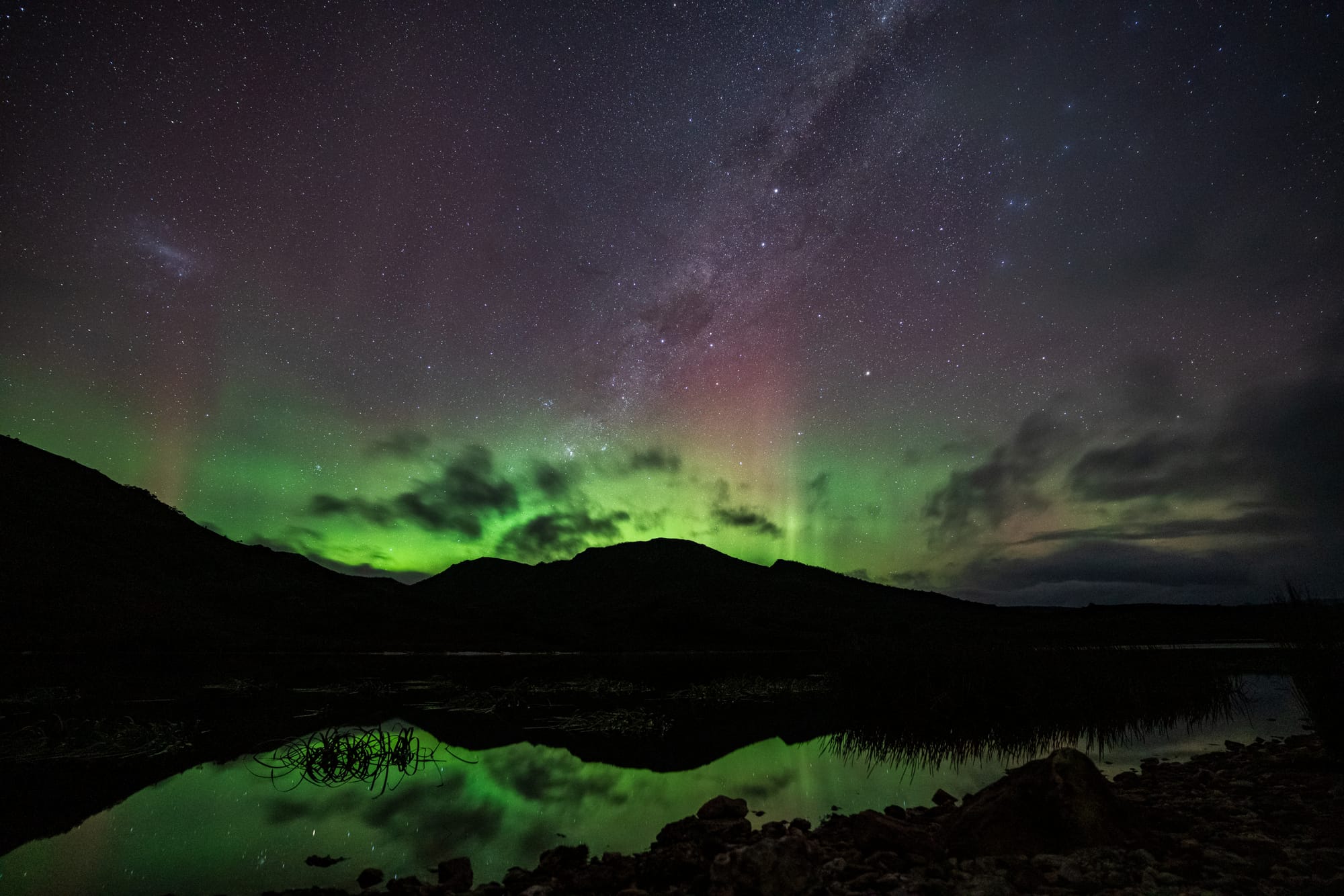 https://katrinalosurdo.com/tassie-aurora-2025/