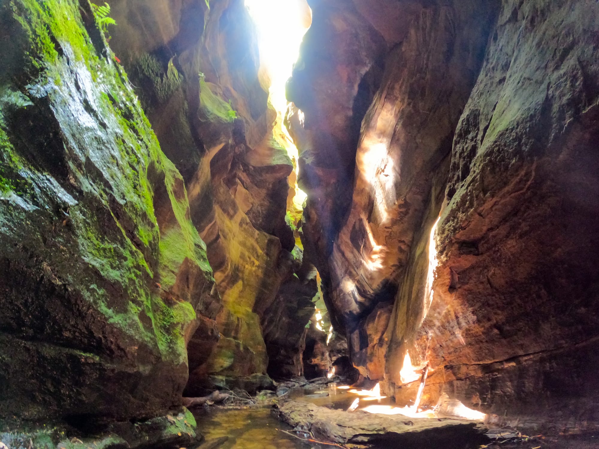 https://katrinalosurdo.com/bluies-canyoning-2024/