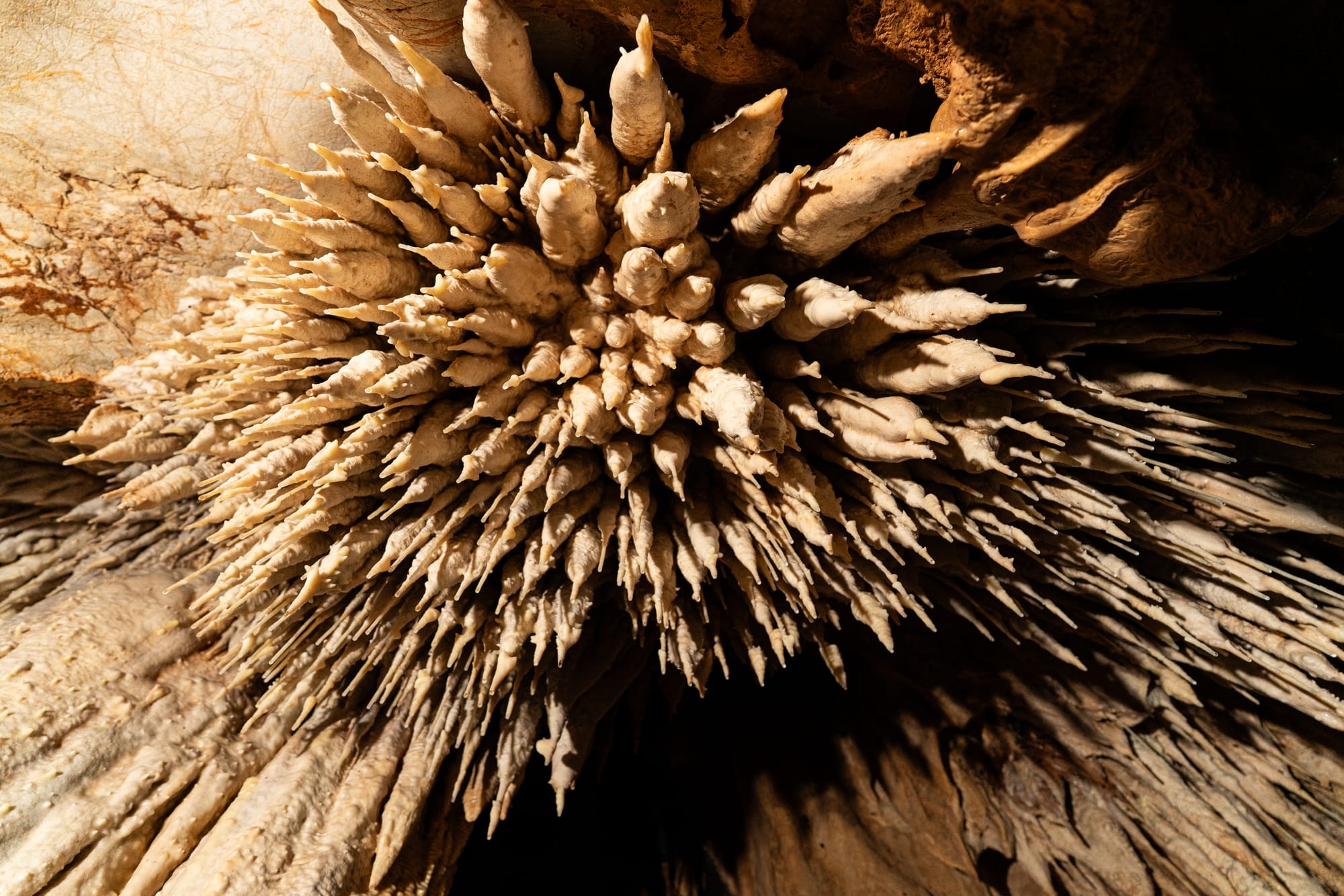 https://katrinalosurdo.com/rockhampton-caving-2026/