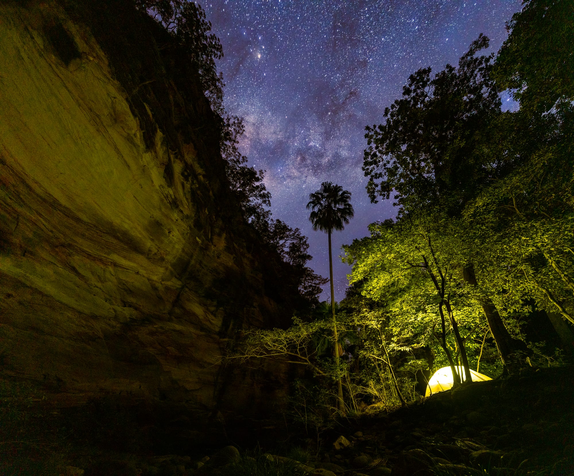 https://katrinalosurdo.com/carnarvon-gorge-2026/