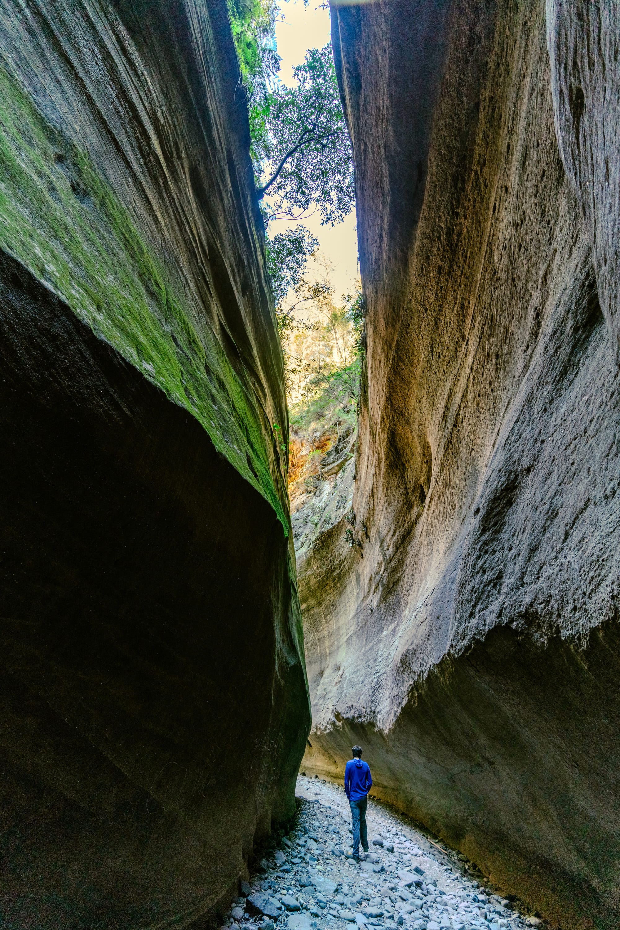 https://katrinalosurdo.com/carnarvon-gorge-2026/