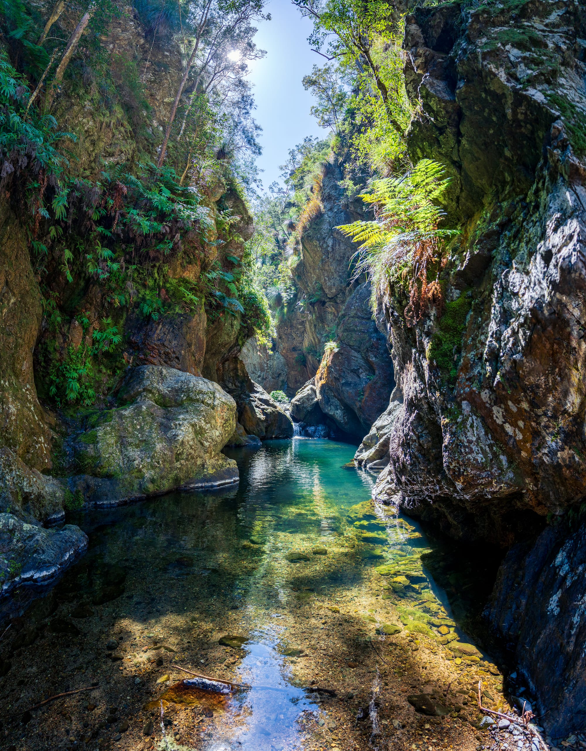 https://katrinalosurdo.com/northbrook-gorges-2026/